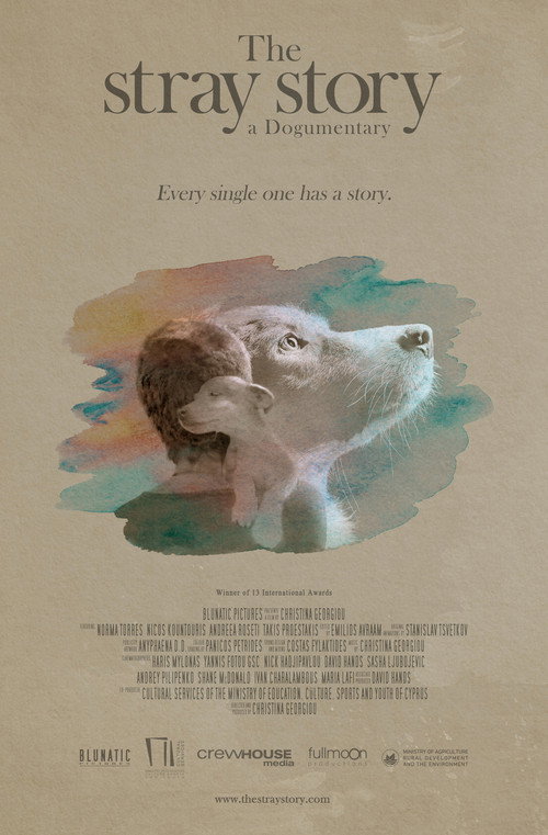 The Stray Story: A Dogumentary (2021) movie poster