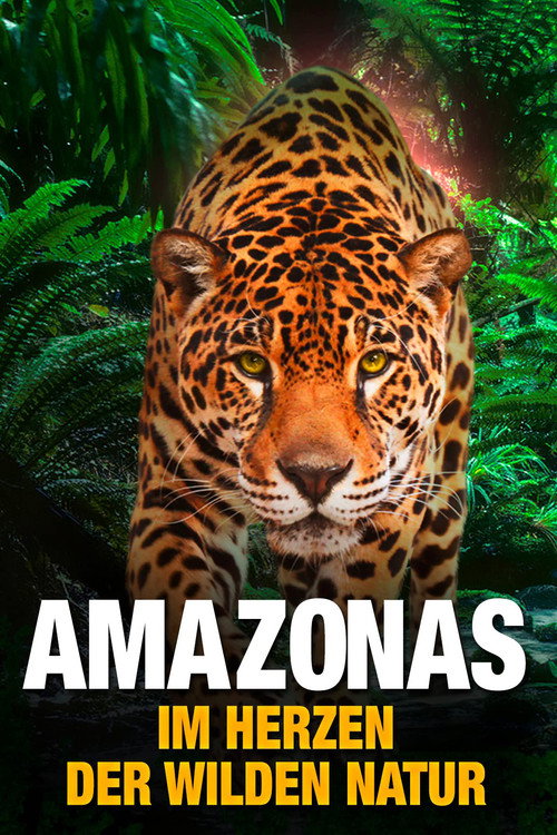 AMAZON 3D (2013) movie poster