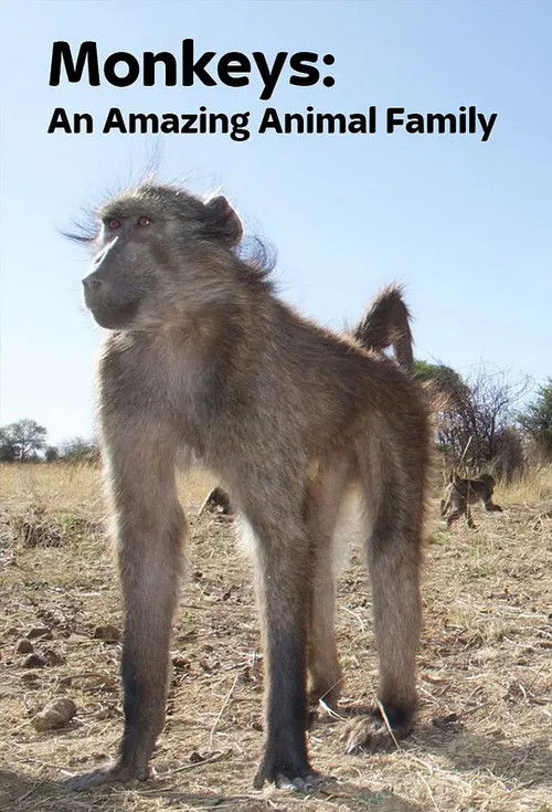 Monkeys: An Amazing Animal Family (2016) TV show poster