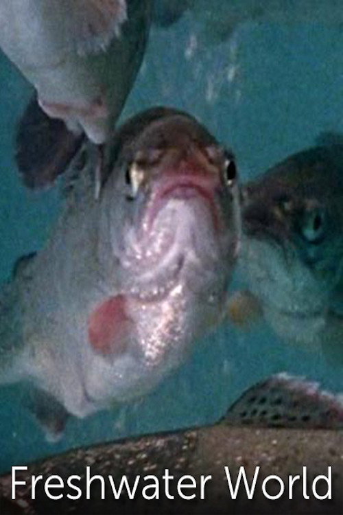 Freshwater World (1974) movie poster