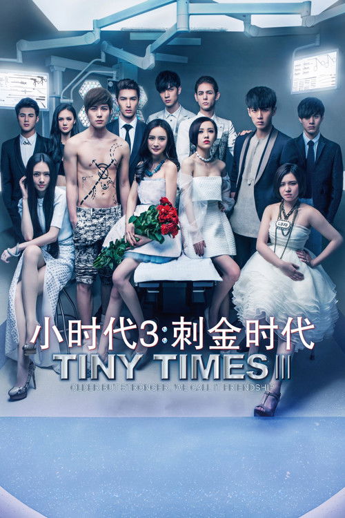 Tiny Times 3 (2014) movie poster