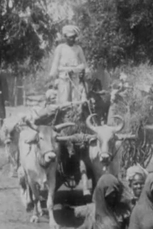Salvation Army Parade in Indian Village No.2 (1904) movie poster