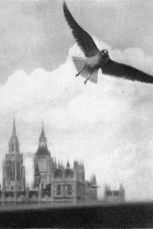 London Visitors (1936) movie poster