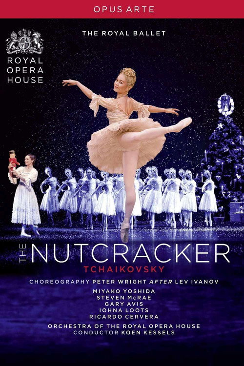 The Nutcracker (2009) movie poster
