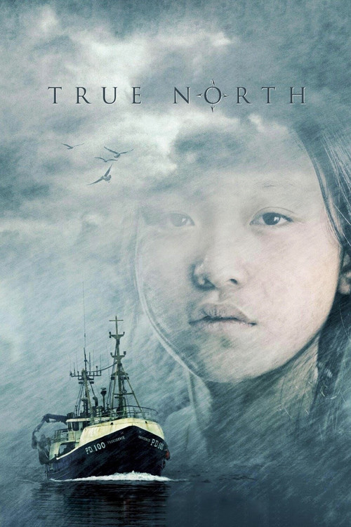 True North (2007) movie poster