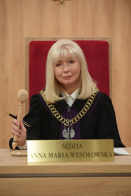 Sędzia Anna Maria Wesołowska (2006) TV show poster