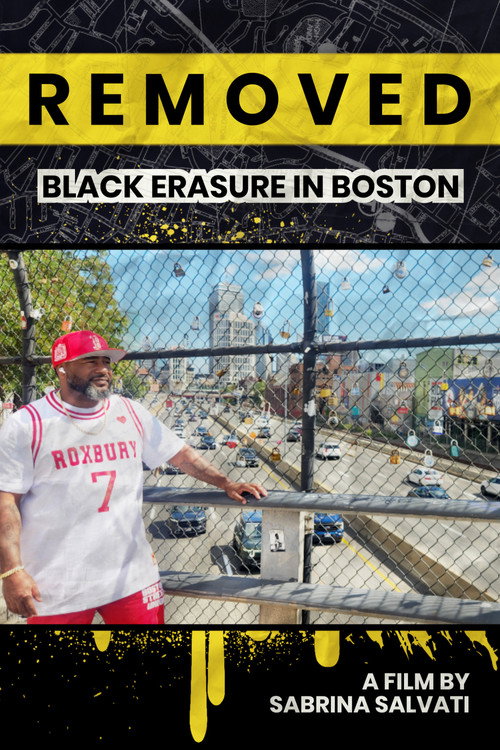 REMOVED: Black Erasure in Boston movie poster