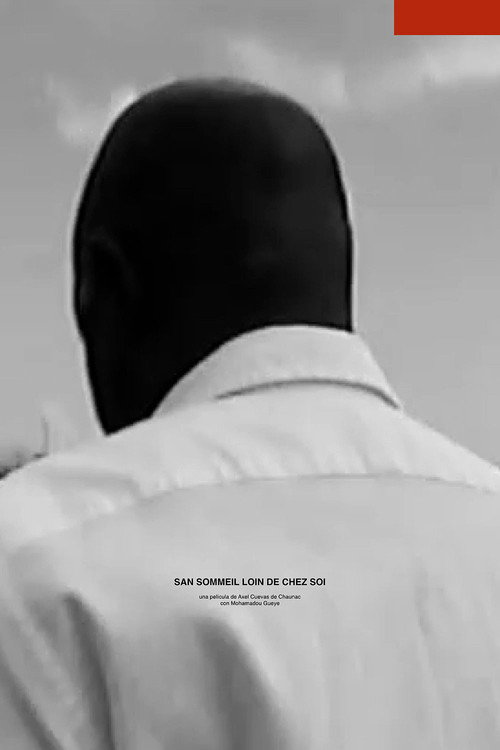 Sleepless far from home (2022) movie poster