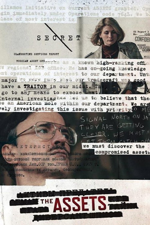 The Assets (2014) TV show poster