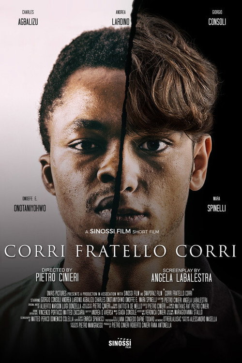 Run brother run (2019) movie poster