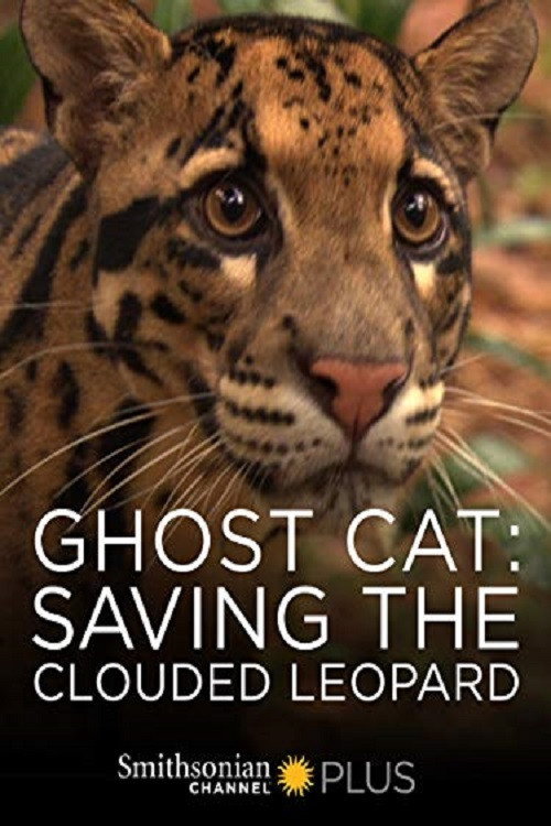 Ghost Cat: Saving the Clouded Leopard (2007) movie poster