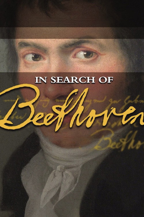 In Search of Beethoven (2009) movie poster
