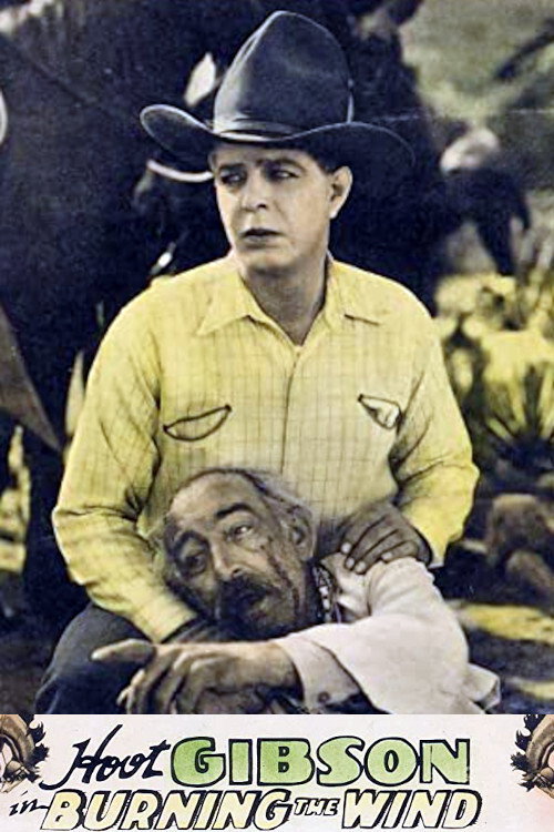 Burning the Wind (1929) movie poster