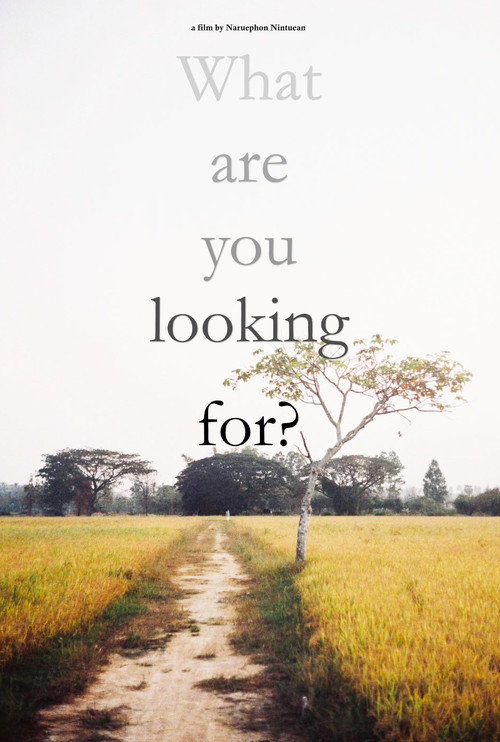 What are you looking for? (2025) movie poster