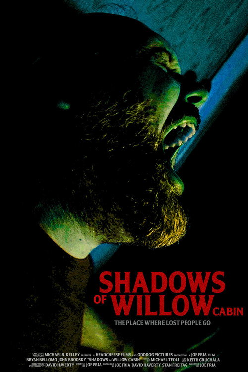 Shadows of Willow Cabin (2025) movie poster