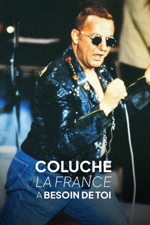 Coluche, la France a besoin de toi (2006) movie poster