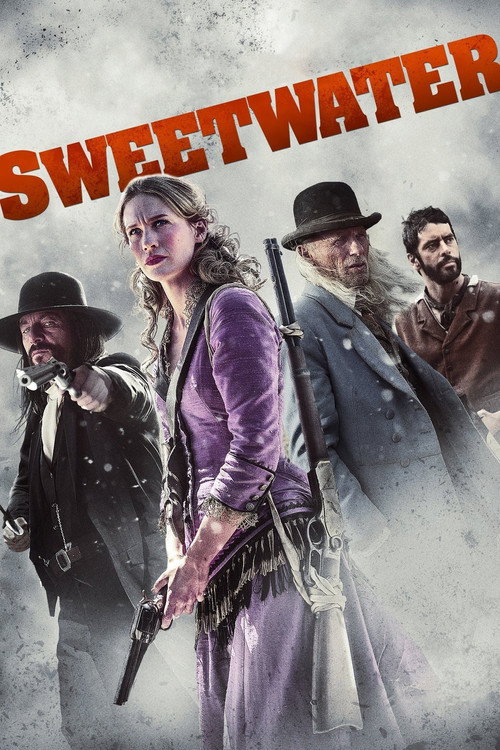 Sweetwater (2013) movie poster