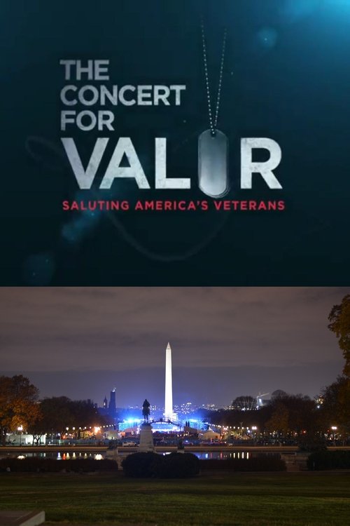 The Concert for Valor (2014) movie poster
