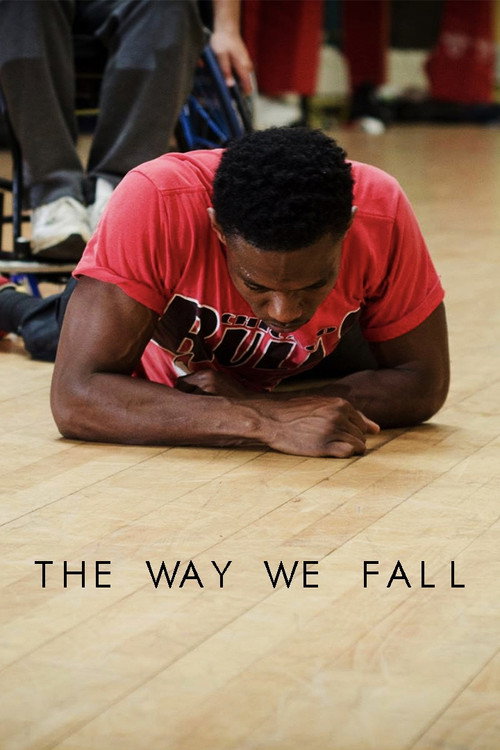 The Way We Fall (2016) movie poster