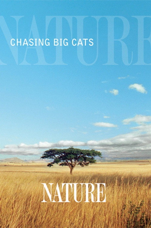 Chasing Big Cats (2004) movie poster