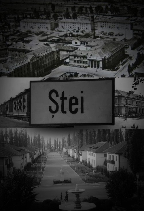 Ștei movie poster