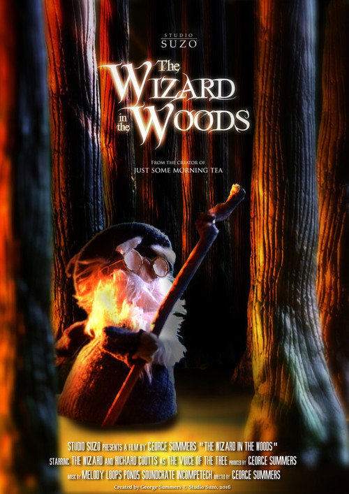 The Wizard in the Woods (2016) movie poster