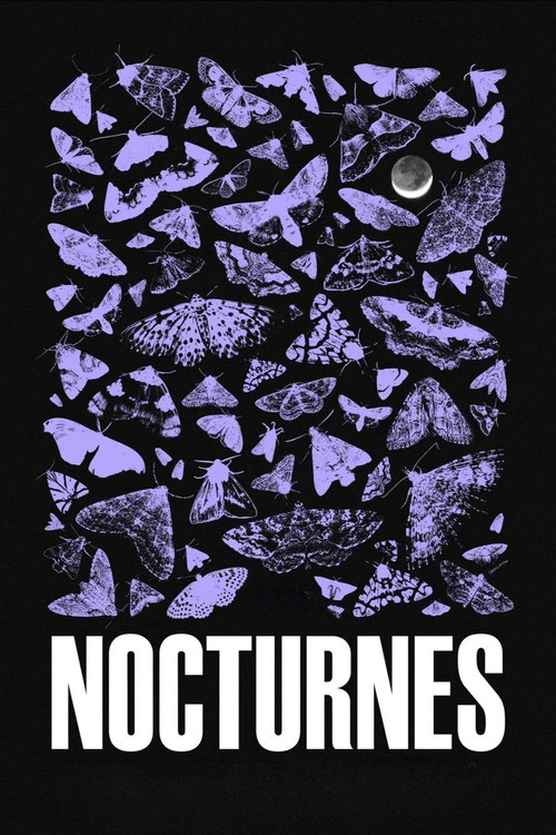 Nocturnes (2024) movie poster
