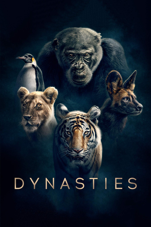 Dynasties (2018) TV show poster