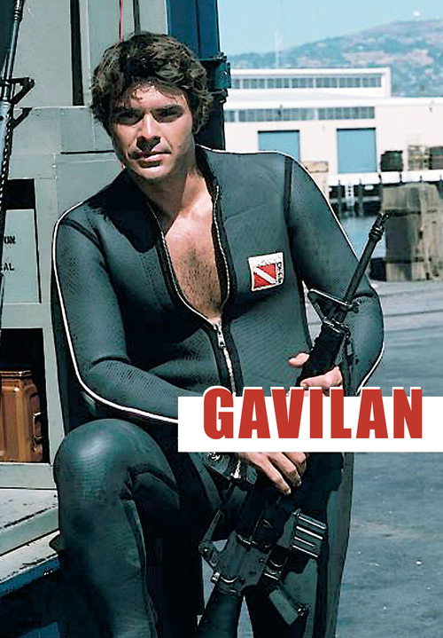 Gavilan (1982) TV show poster