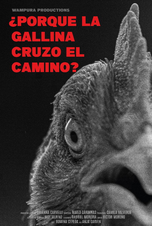 ¿Por qué la gallina cruzó el camino? (2024) movie poster
