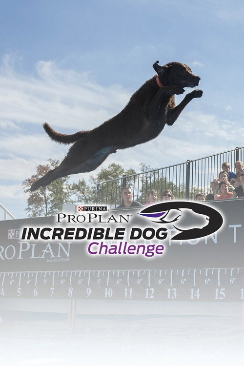 The Incredible Dog Challenge Tour (2015) TV show poster