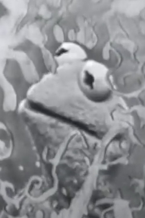 Visual Thinking (1961) movie poster
