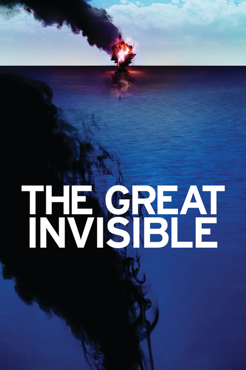The Great Invisible (2014) movie poster
