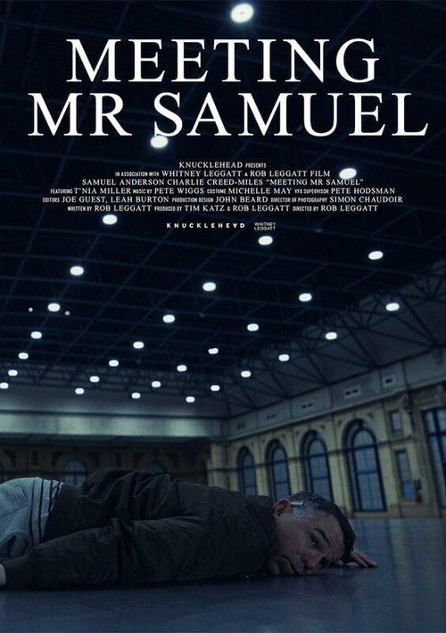 Meeting Mr Samuel (2023) movie poster