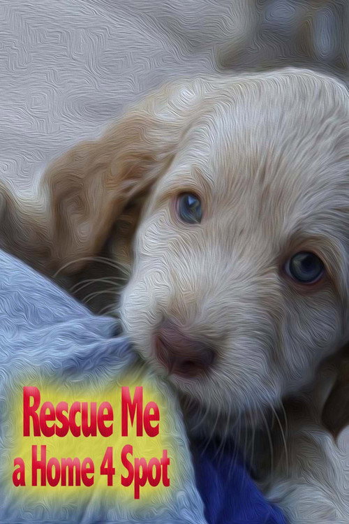 Rescue Me: A Home 4 Spot (2019) movie poster