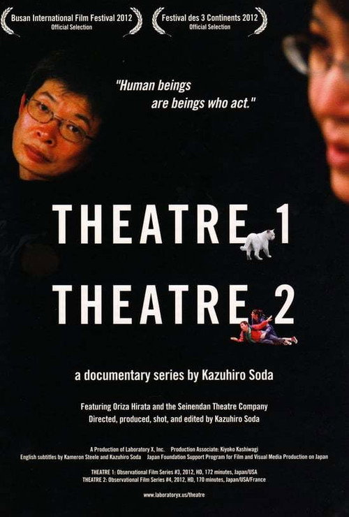 Theatre 2 (2012) movie poster