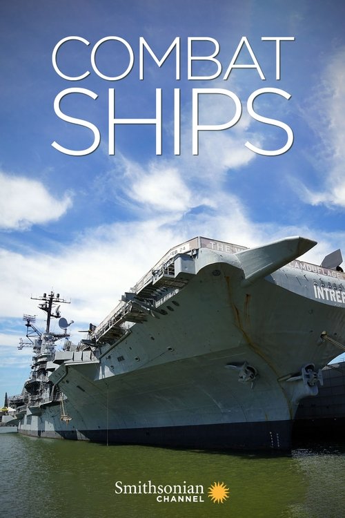 Combat Ships (2017) TV show poster