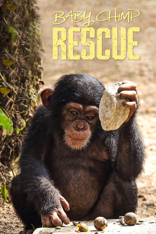 Baby Chimp Rescue (2020) TV show poster