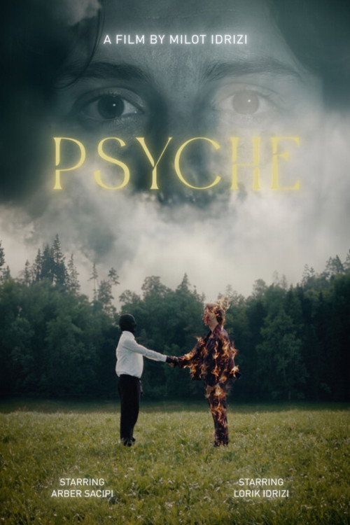 PSYCHE (2023) movie poster