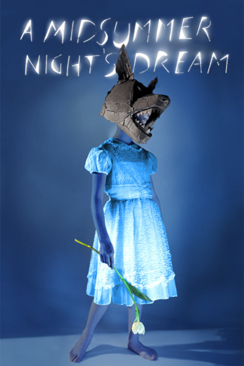 A Midsummer Night's Dream (2014) movie poster