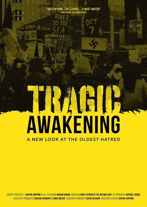 Tragic Awakening: A New Look at the Oldest Hatred (2024) movie poster
