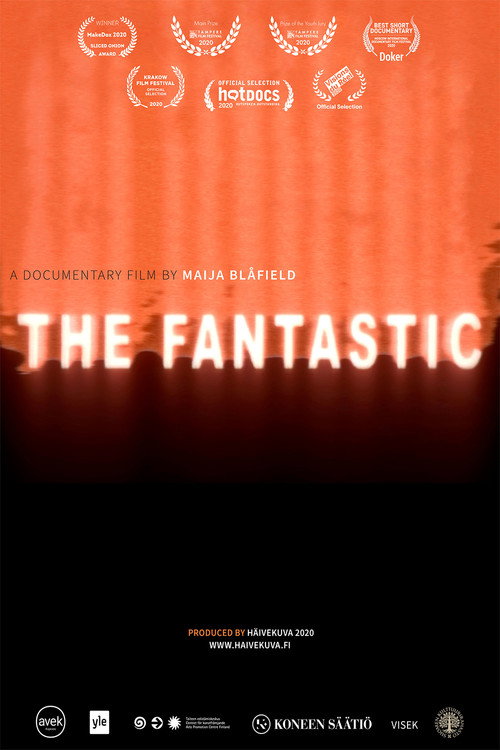 The Fantastic (2021) movie poster