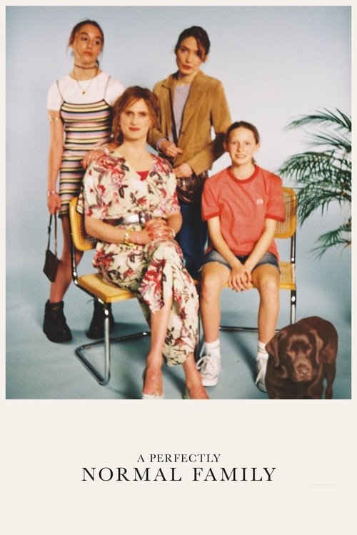 A Perfectly Normal Family (2020) movie poster