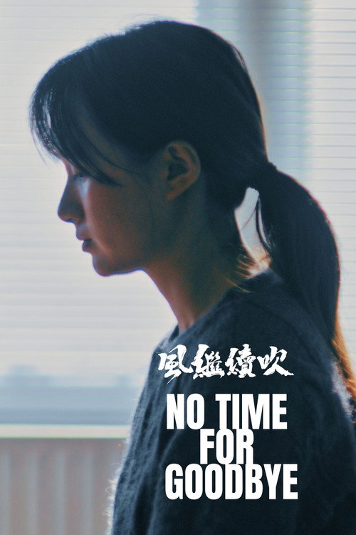 No Time For Goodbye (2025) movie poster