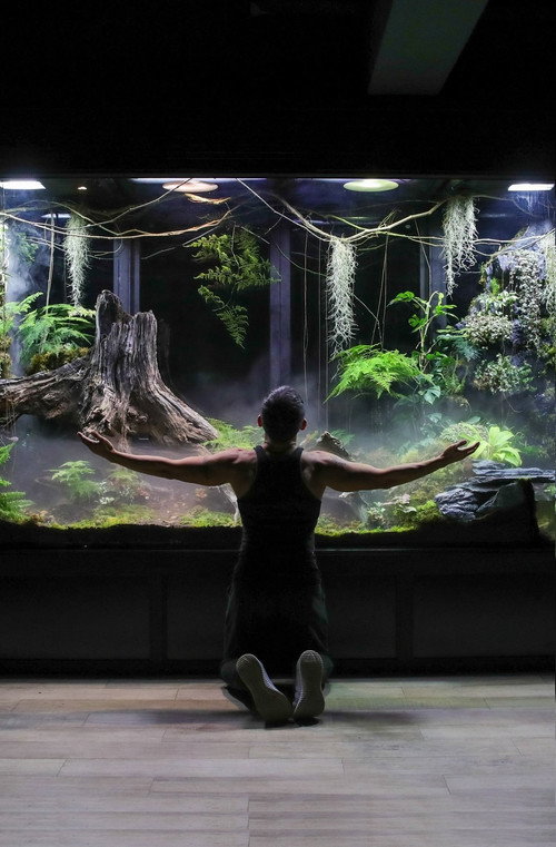My Giant Cloud Rainforest Vivarium (2023) TV show poster