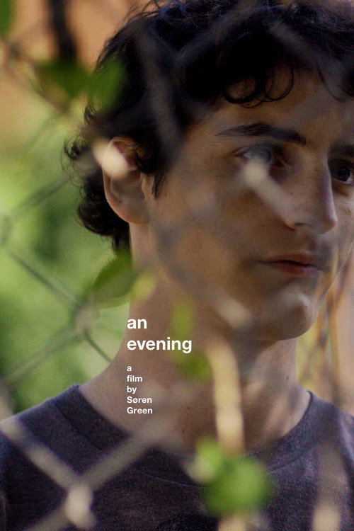 An Evening (2016) movie poster