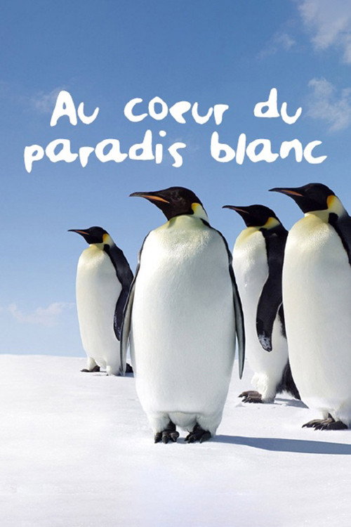 Tears of Antarctica (2011) TV show poster