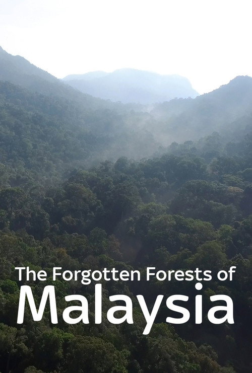 The Forgotten Forests of Malaysia (2018) movie poster