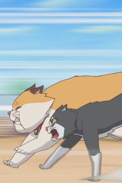 Cats Run (2012) movie poster