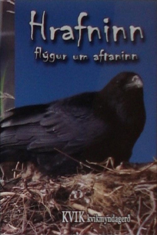The Bird of Wisdom: The Raven (2008) movie poster